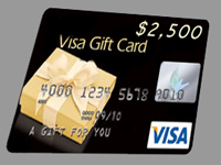 $2,500.00 USD Visa Gift Card